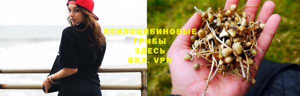 тгк Абдулино