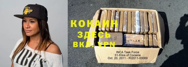 тгк Алексин