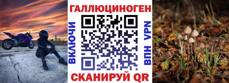 Галлюциногенные грибы GOLDEN TEACHER  наркотики  Горбатов 